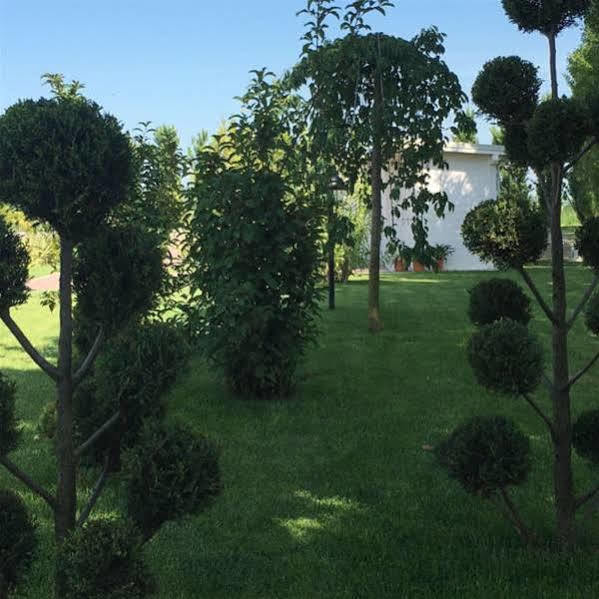 Hotel Bussana Porto Tolle Exterior photo
